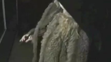 เขาดันกางเกงในออกจากตูดและขัดน้องสาวของเขาในหี วีดีโอ โปั