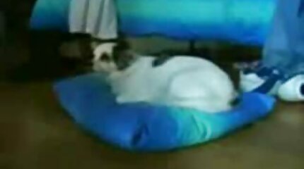 ดู วีดีโอ โป๊ะ